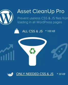 Asset-CleanUp-Pro