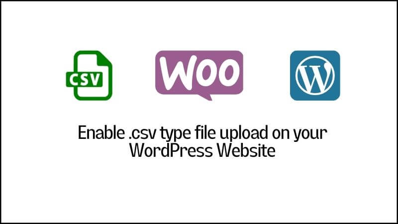Read more about the article Enable uploading .csv file type on your WordPress Website